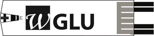 Teststicka blodglukos plasma, Wellion LEONARDO - Wellion - 3