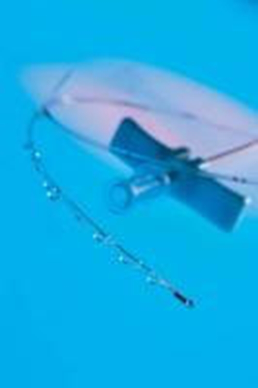 Kateter PAINfusor, t. Baxter Infusor, 2,5cm, 19G