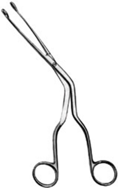 Tång svalg Magill tysk, vuxen 25cm