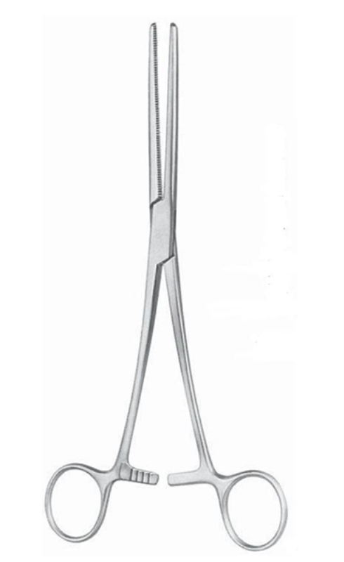 Peang rak, 20cm - Rochester