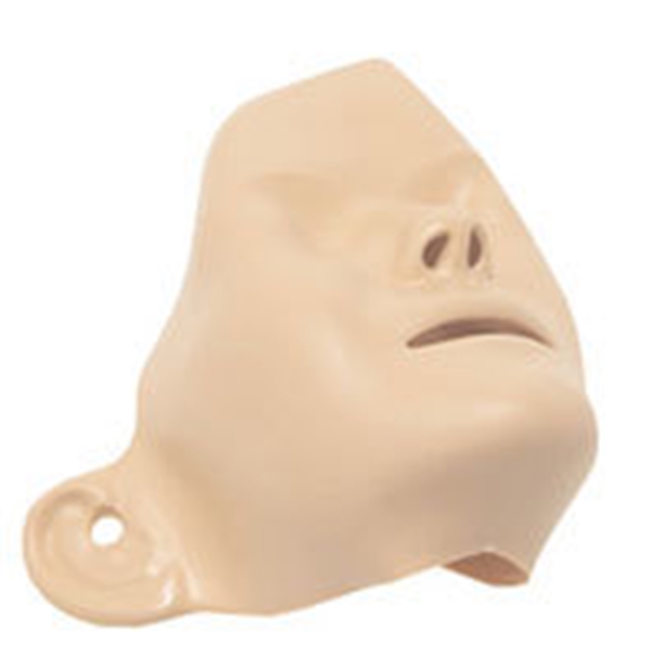 Ansikten till Resusci Anne/Little Anne, Ansikte