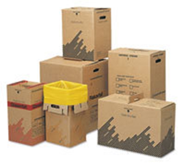 Sopsäckskartong neutral, 22L med säck