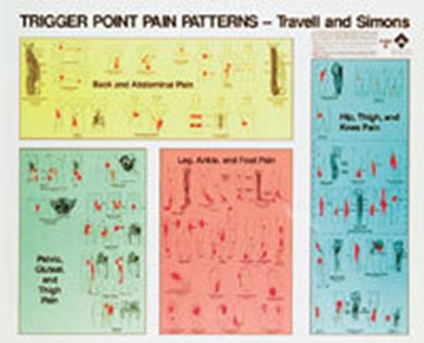 Triggerpunktsplanscher, 2st, 82cmx97cm, Travell & Simons