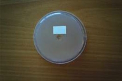 Plastskål Medikit